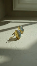 Celestia Labradorite Earrings